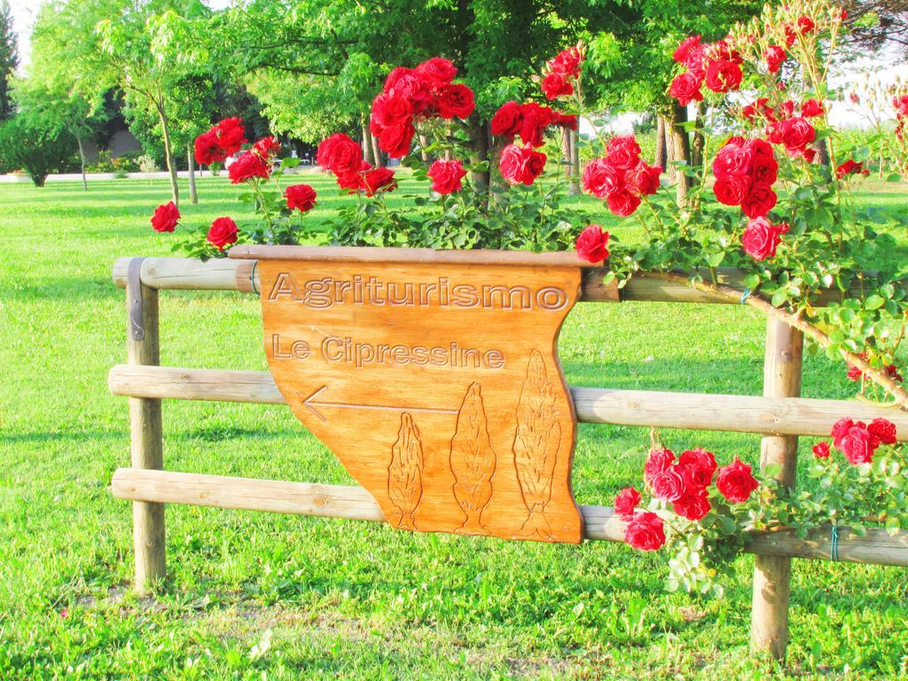 Agriturismo Le Cipressine Meolo Eksteriør bilde