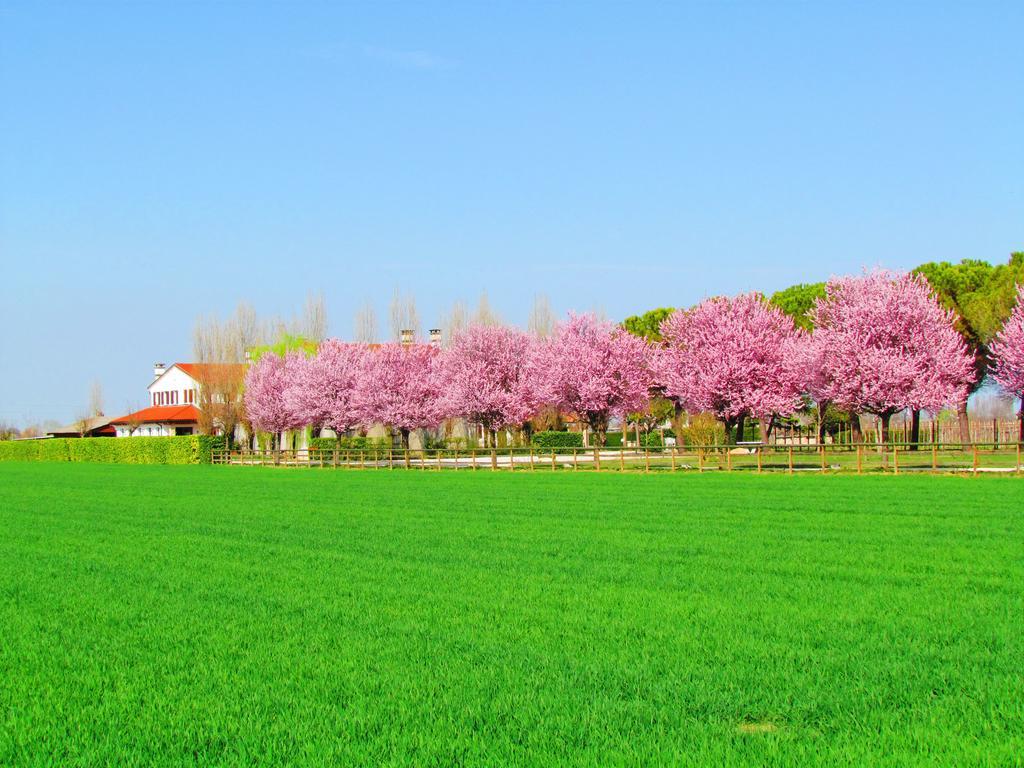 Agriturismo Le Cipressine Meolo Eksteriør bilde