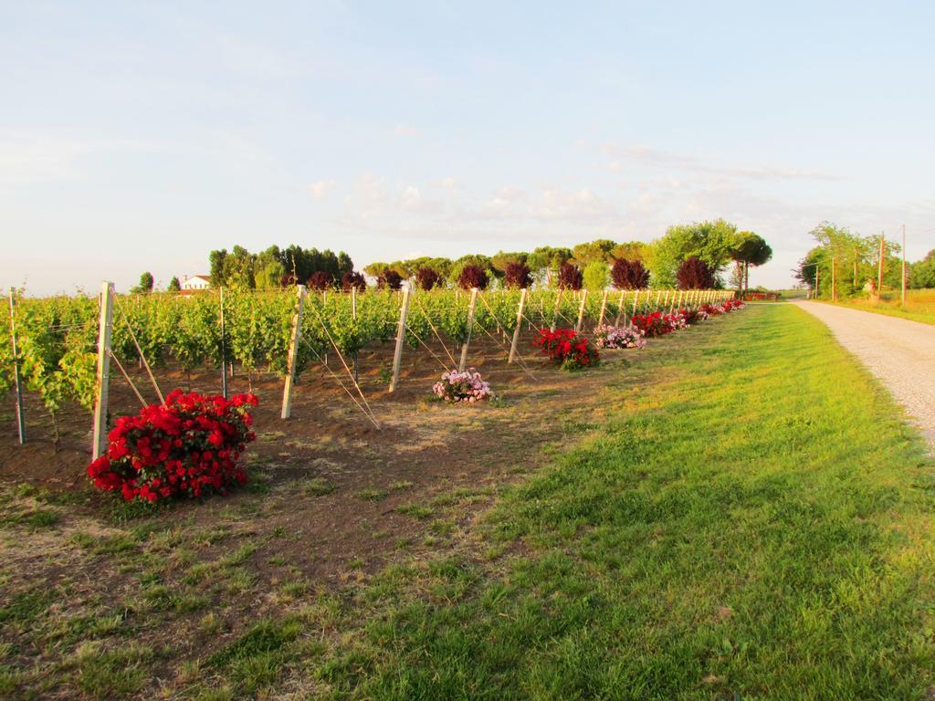 Agriturismo Le Cipressine Meolo Eksteriør bilde